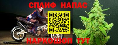 мдпв Рузаевка