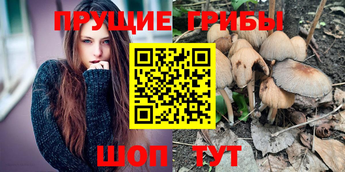 Псилоцибиновые грибы прущие грибы  Вход с VPN  Сафоново 